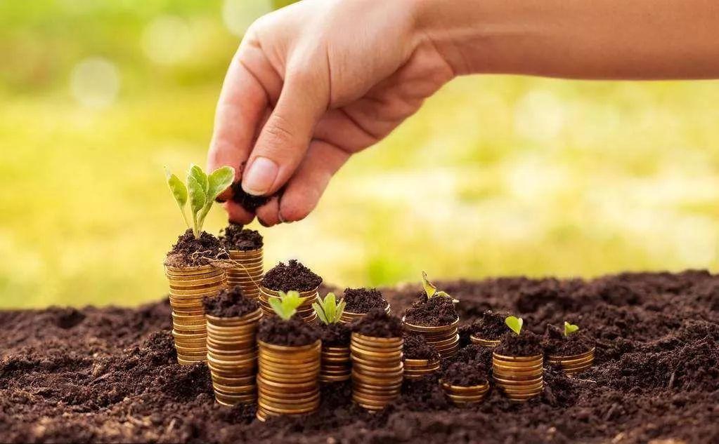 2020年中國農(nóng)業(yè)食品投資報(bào)告年報(bào)